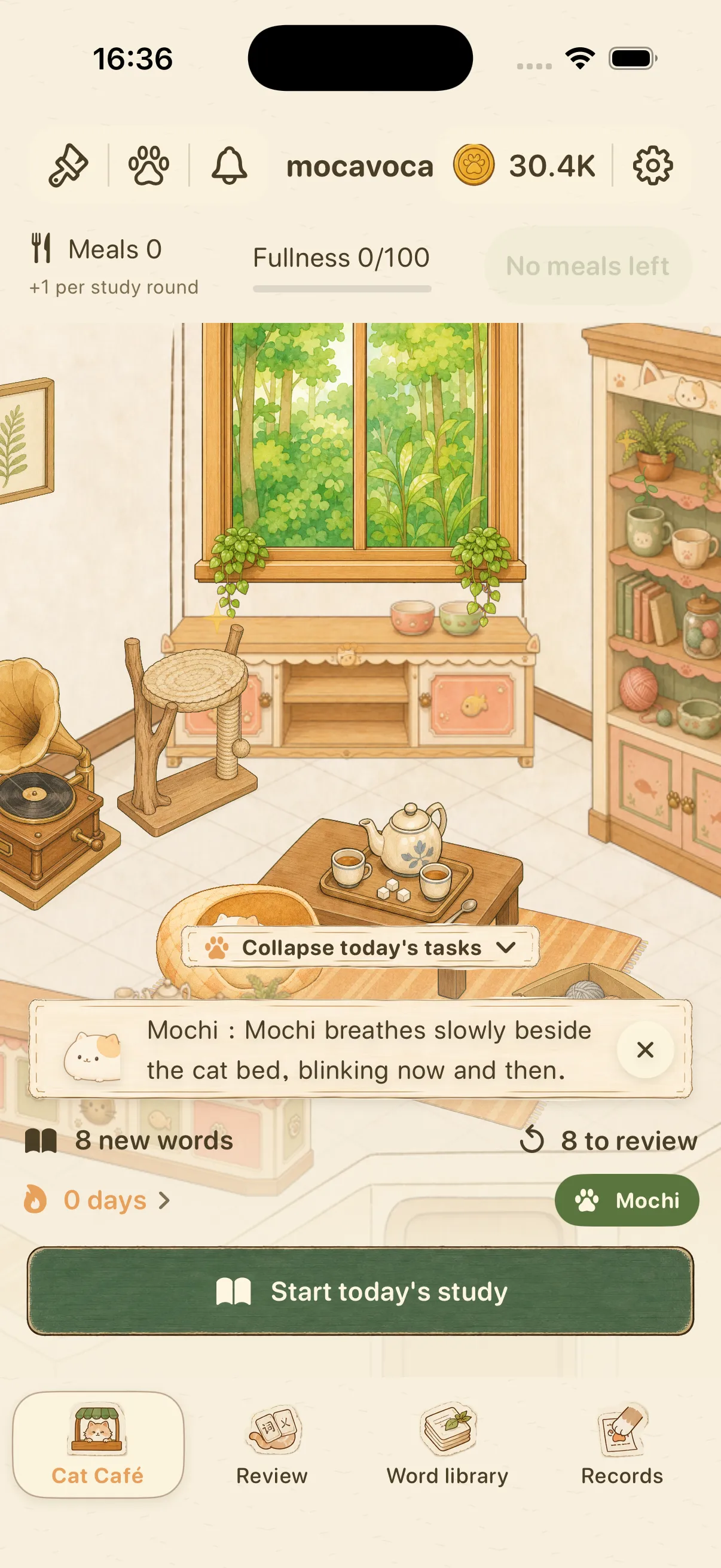 Mocavoca cat café home screen with today’s new words, reviews, and the Start studying button